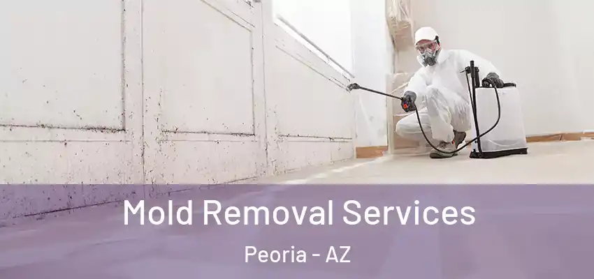  Mold Removal Services Peoria - AZ