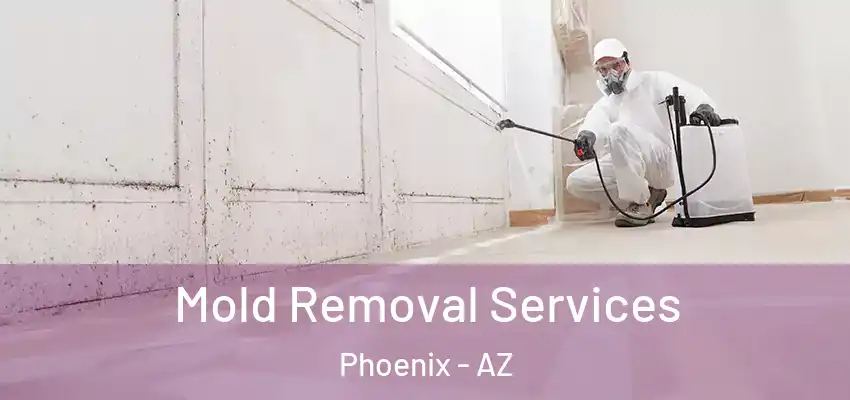 Mold Removal Services Phoenix - AZ