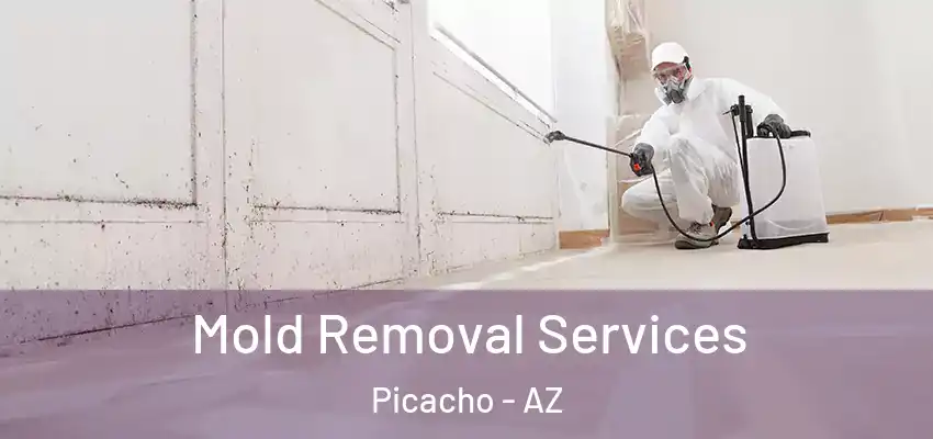Mold Removal Services Picacho - AZ