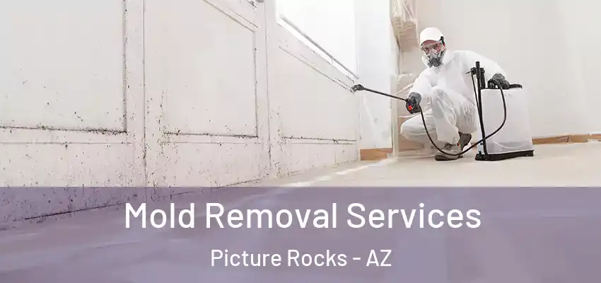 Mold Removal Services Picture Rocks - AZ