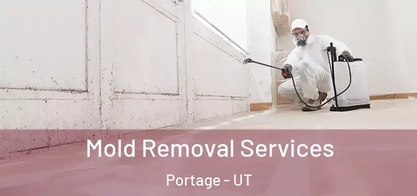  Mold Removal Services Portage - UT