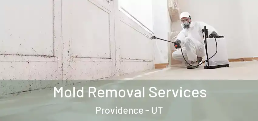  Mold Removal Services Providence - UT
