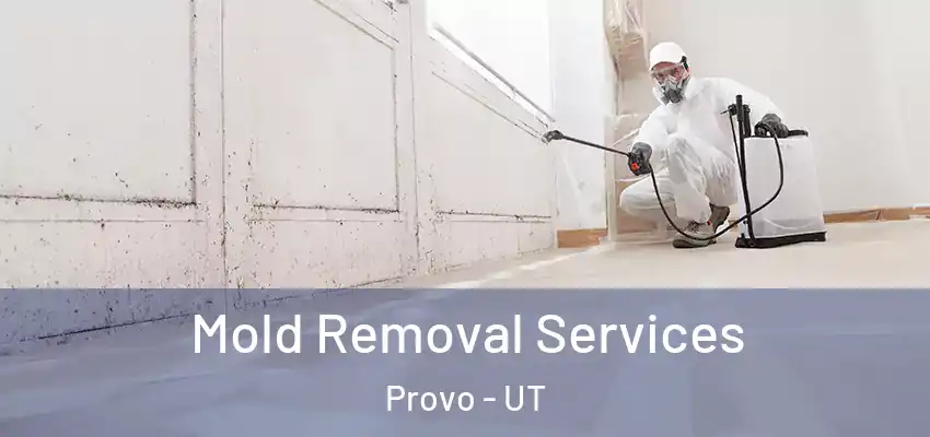 Mold Removal Services Provo - UT