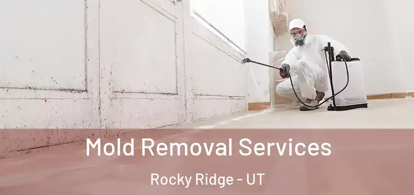  Mold Removal Services Rocky Ridge - UT