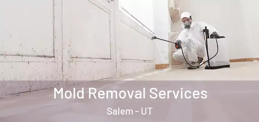 Mold Removal Services Salem - UT