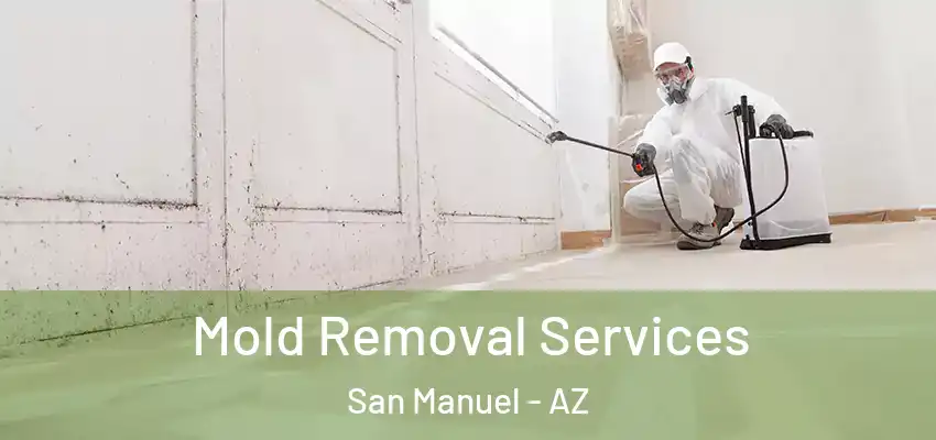 Mold Removal Services San Manuel - AZ