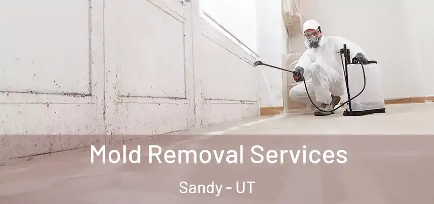 Mold Removal Services Sandy - UT