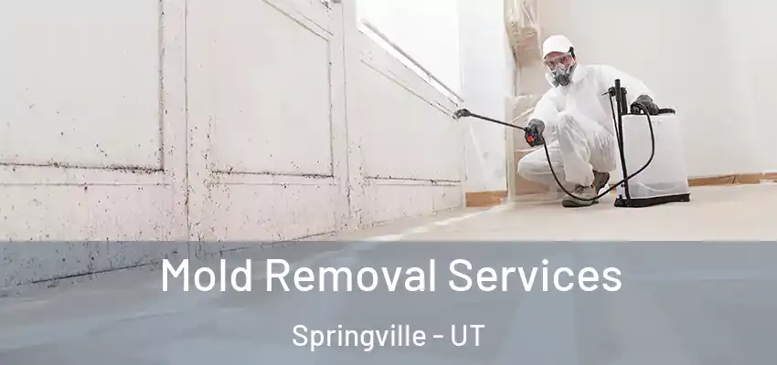 Mold Removal Services Springville - UT