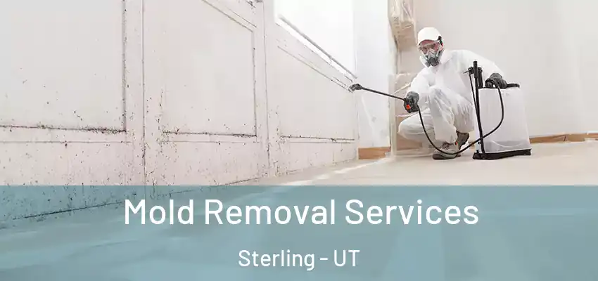 Mold Removal Services Sterling - UT