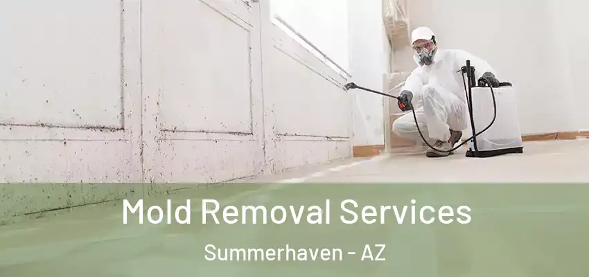 Mold Removal Services Summerhaven - AZ