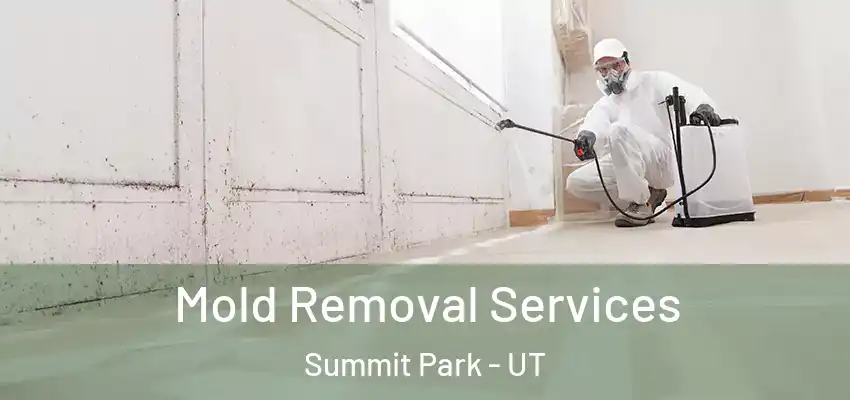 Mold Removal Services Summit Park - UT