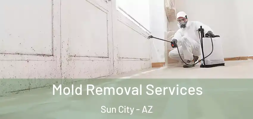 Mold Removal Services Sun City - AZ