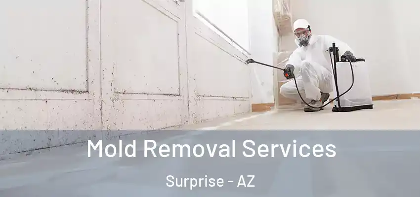  Mold Removal Services Surprise - AZ