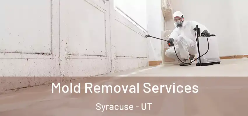  Mold Removal Services Syracuse - UT