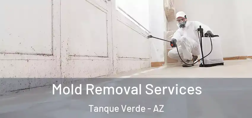  Mold Removal Services Tanque Verde - AZ
