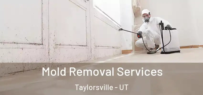  Mold Removal Services Taylorsville - UT