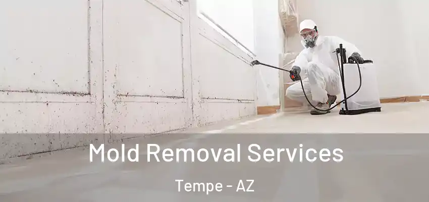 Mold Removal Services Tempe - AZ