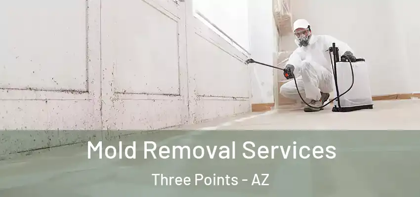 Mold Removal Services Three Points - AZ