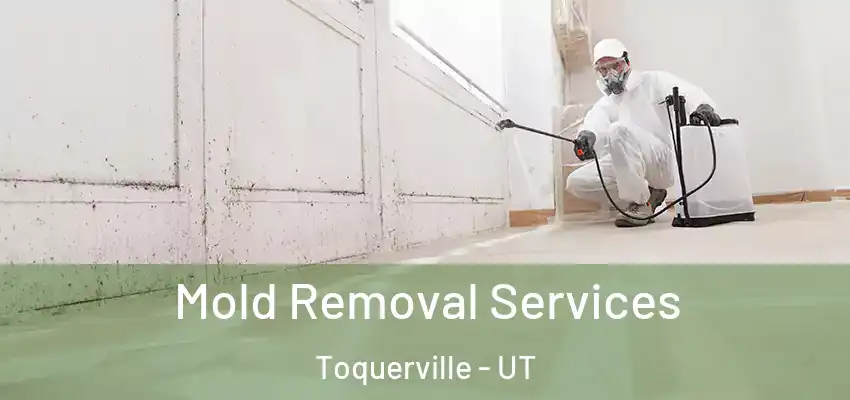  Mold Removal Services Toquerville - UT