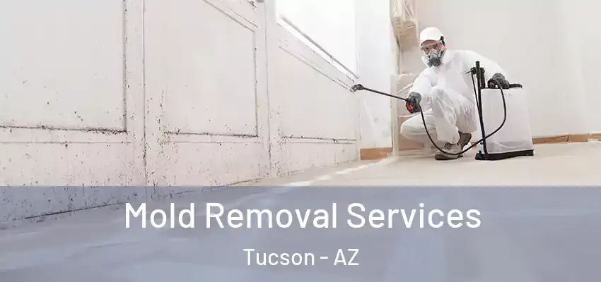 Mold Removal Services Tucson - AZ