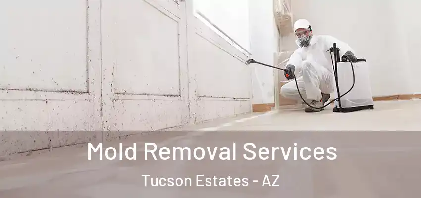  Mold Removal Services Tucson Estates - AZ