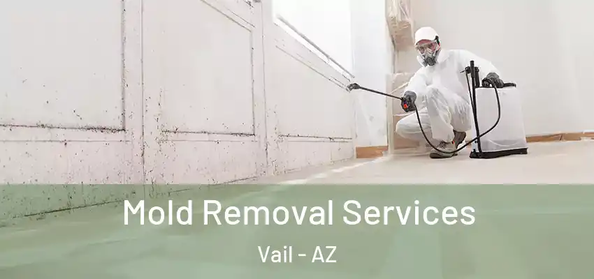  Mold Removal Services Vail - AZ