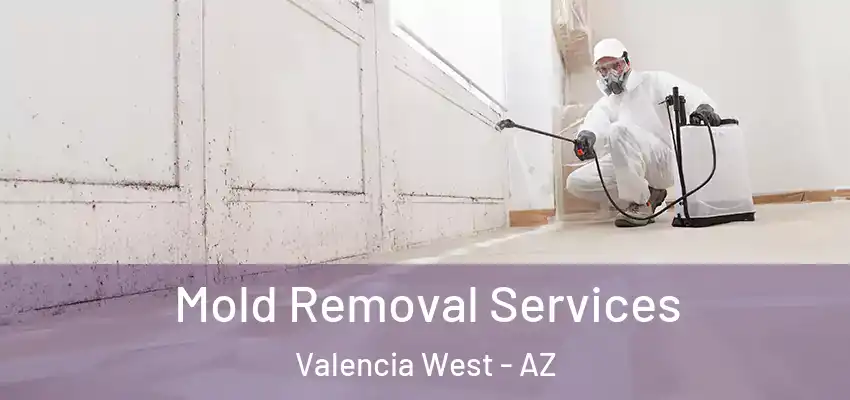 Mold Removal Services Valencia West - AZ
