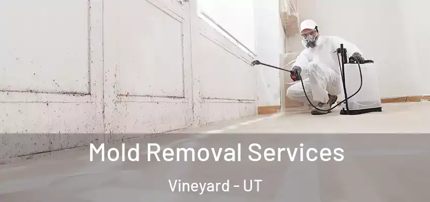 Mold Removal Services Vineyard - UT