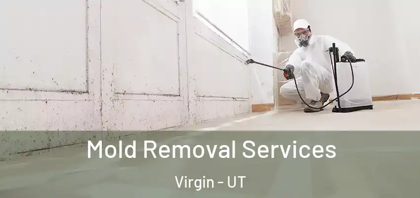 Mold Removal Services Virgin - UT