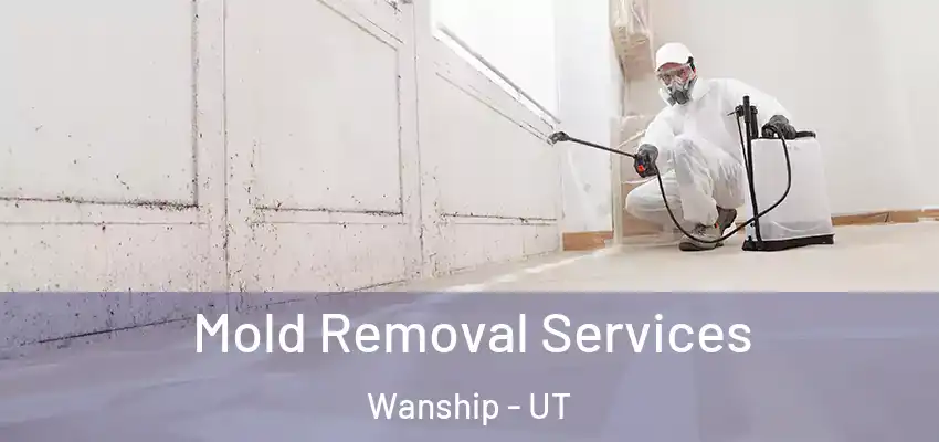 Mold Removal Services Wanship - UT