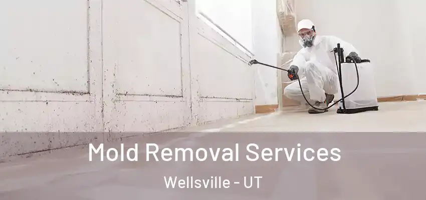  Mold Removal Services Wellsville - UT