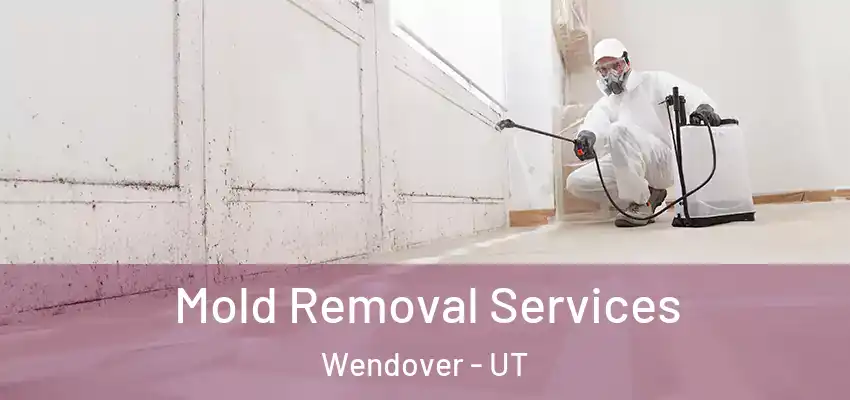 Mold Removal Services Wendover - UT
