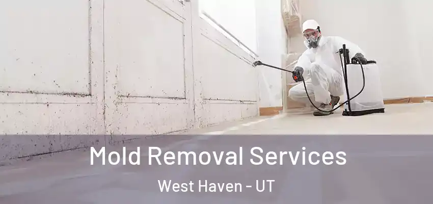  Mold Removal Services West Haven - UT