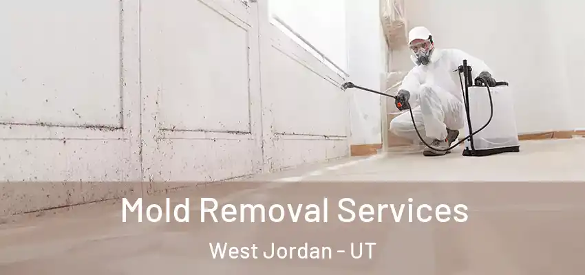  Mold Removal Services West Jordan - UT
