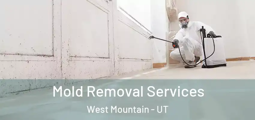 Mold Removal Services West Mountain - UT