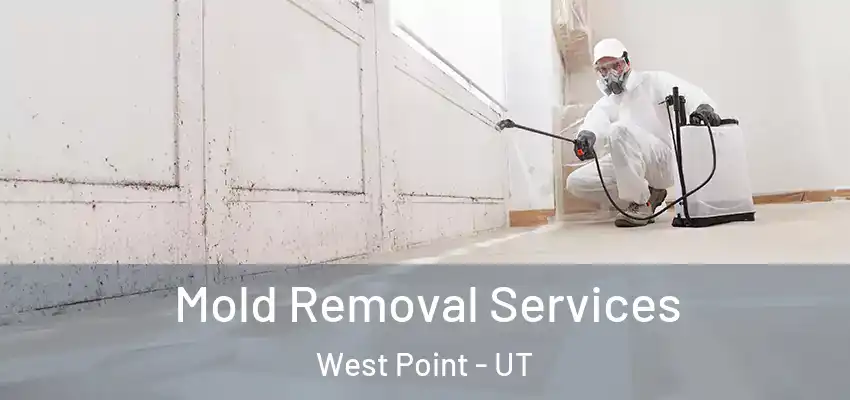  Mold Removal Services West Point - UT