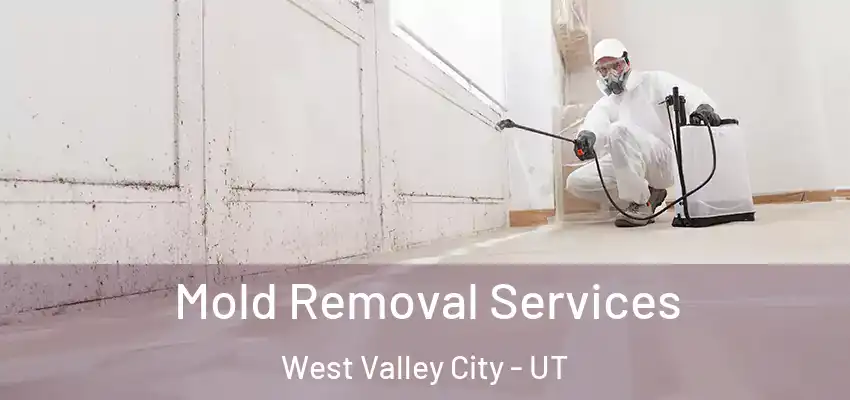 Mold Removal Services West Valley City - UT
