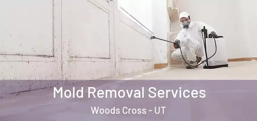 Mold Removal Services Woods Cross - UT