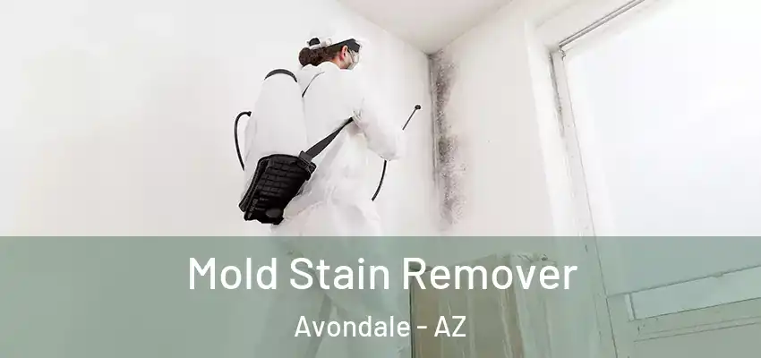  Mold Stain Remover Avondale - AZ