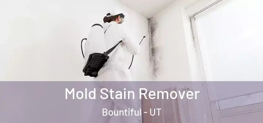 Mold Stain Remover Bountiful - UT