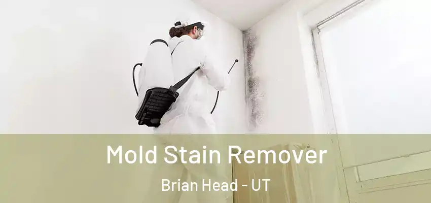  Mold Stain Remover Brian Head - UT