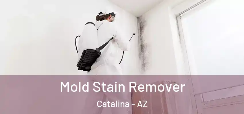  Mold Stain Remover Catalina - AZ