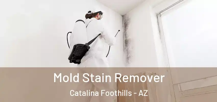  Mold Stain Remover Catalina Foothills - AZ