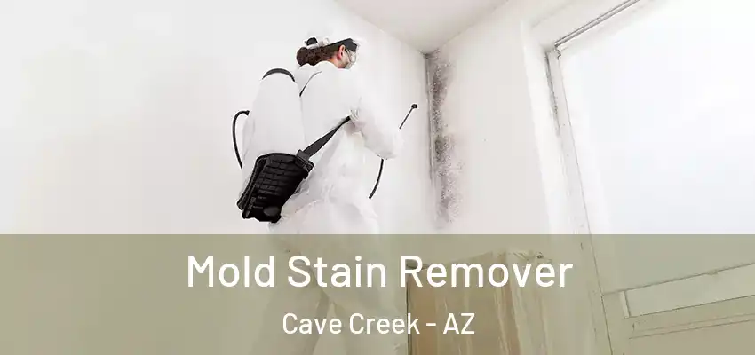  Mold Stain Remover Cave Creek - AZ