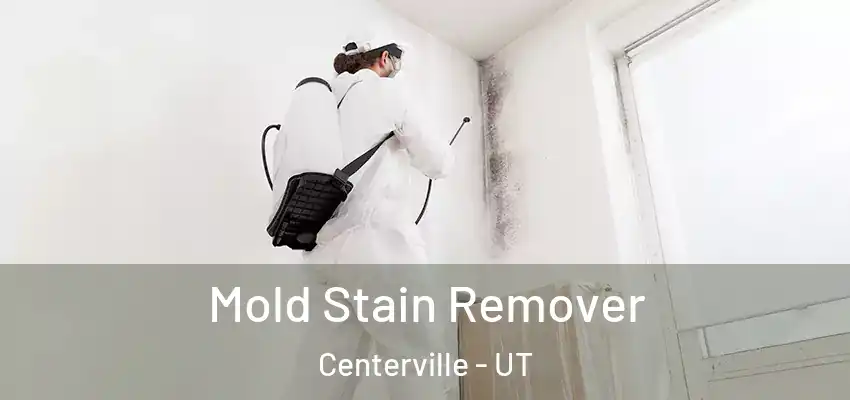 Mold Stain Remover Centerville - UT