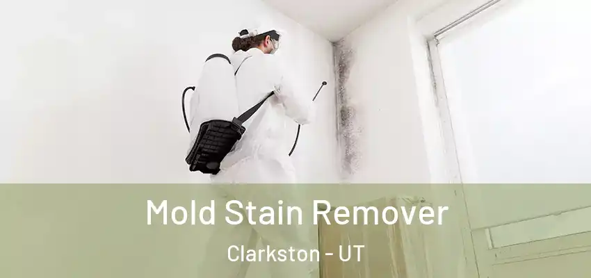  Mold Stain Remover Clarkston - UT