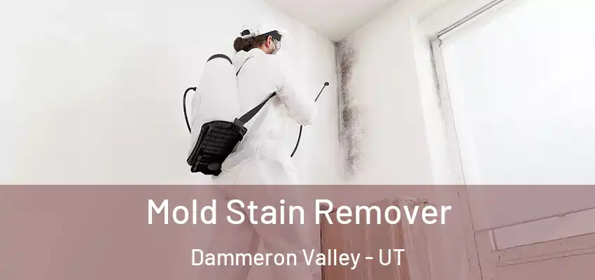  Mold Stain Remover Dammeron Valley - UT