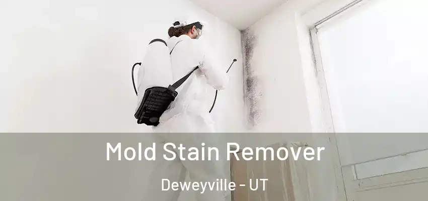  Mold Stain Remover Deweyville - UT