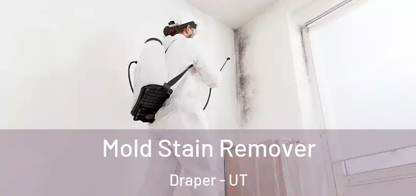  Mold Stain Remover Draper - UT