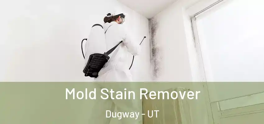  Mold Stain Remover Dugway - UT